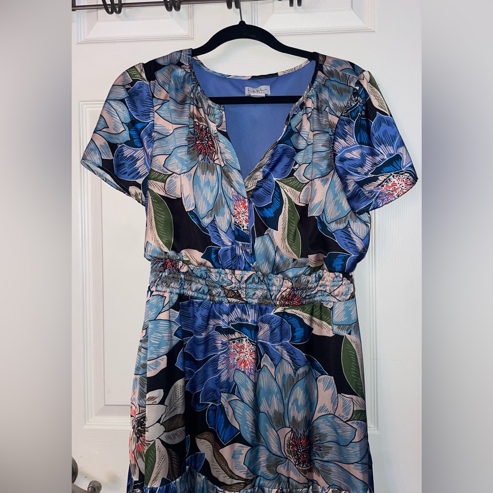 Nicole Miller Blue and Pink Floral Maxi Dress Large - Picture 2 of 4